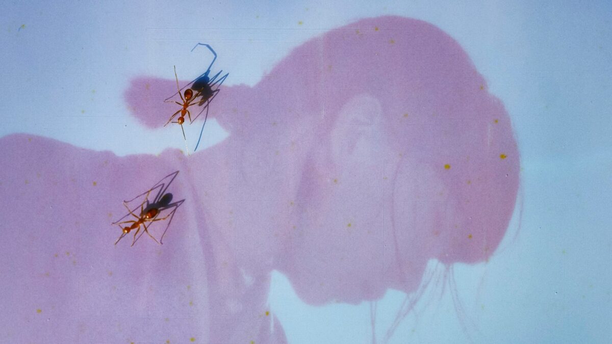 Ichiko Aoba Announces World Tour and New Album, Shares New Song “Lucifèrine”